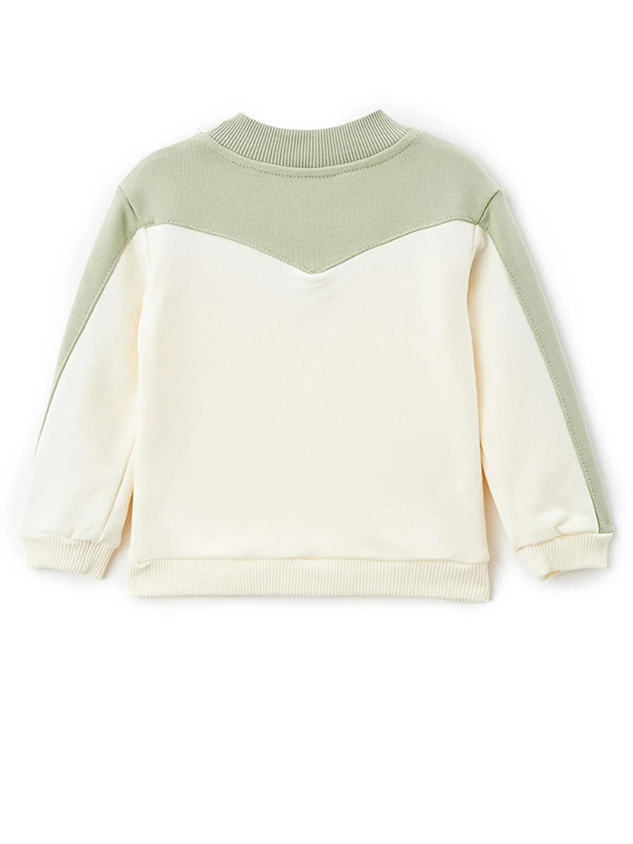 Свитшот хлопковый