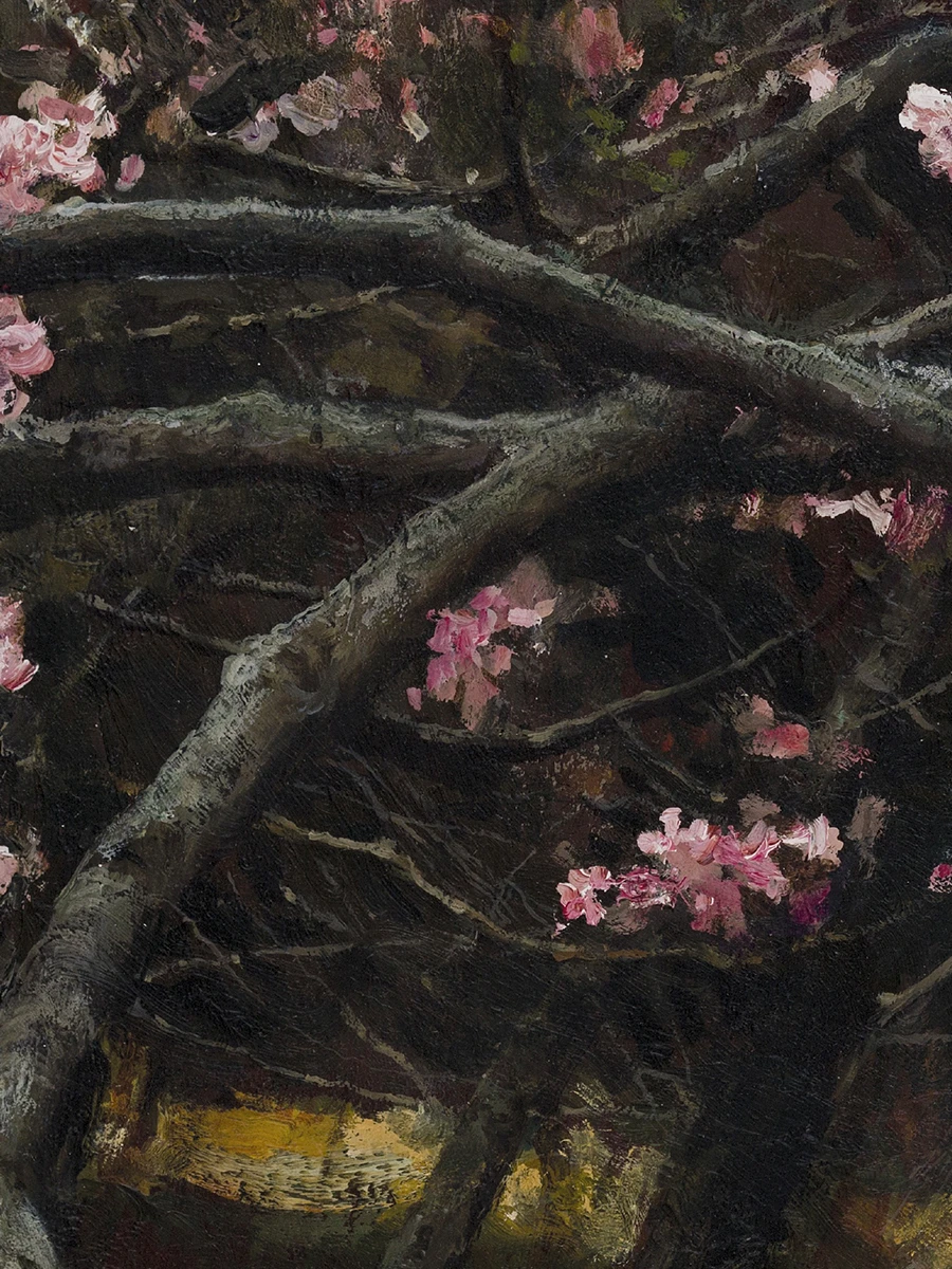 Платок-паше шелковый с принтом