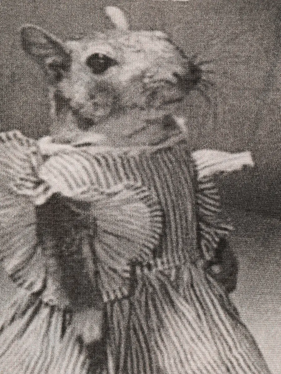 Футболка хлопковая