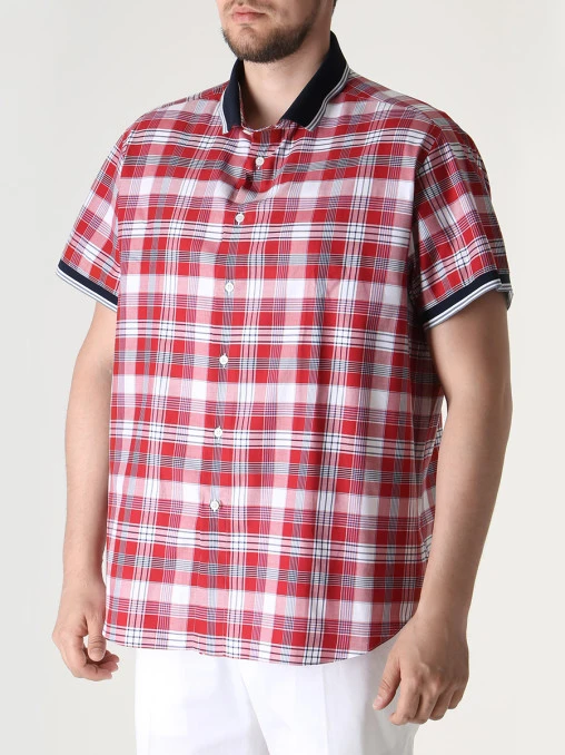 Рубашка Regular Fit хлопковая BRIONI
