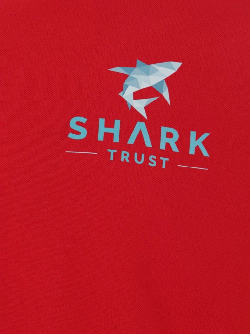 Поло хлопковое PAUL & SHARK