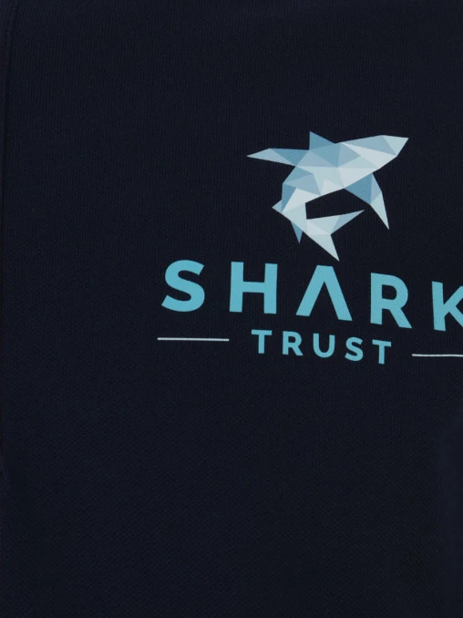 Поло хлопковое PAUL & SHARK