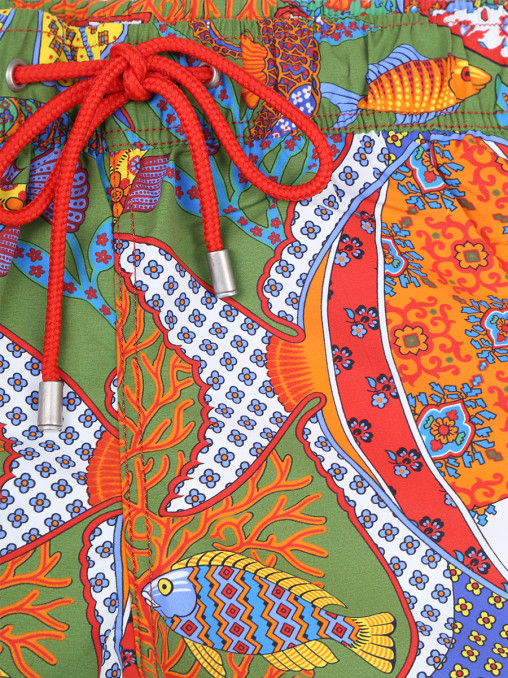 Шорты плавательные ETRO