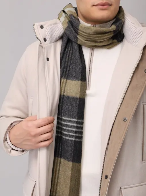 Шарф кашемировый CESARE GATTI