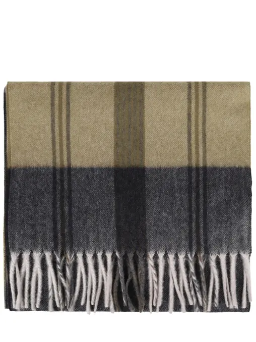 Шарф кашемировый CESARE GATTI