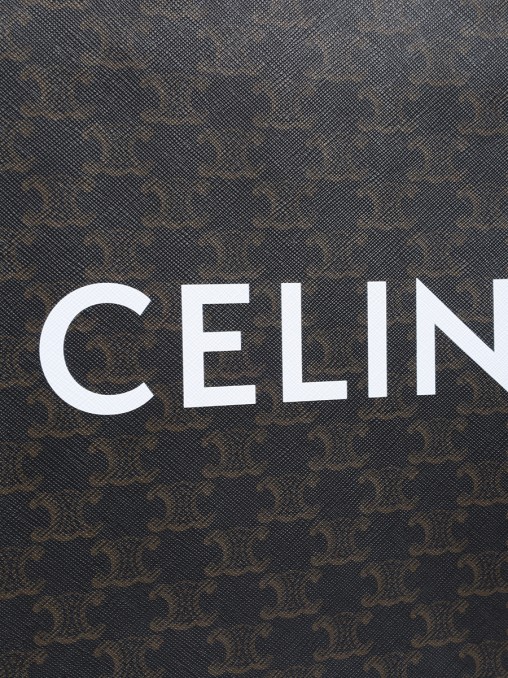 Сумка кожаная Triomphe CELINE