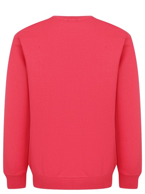 Толстовка BALMAIN