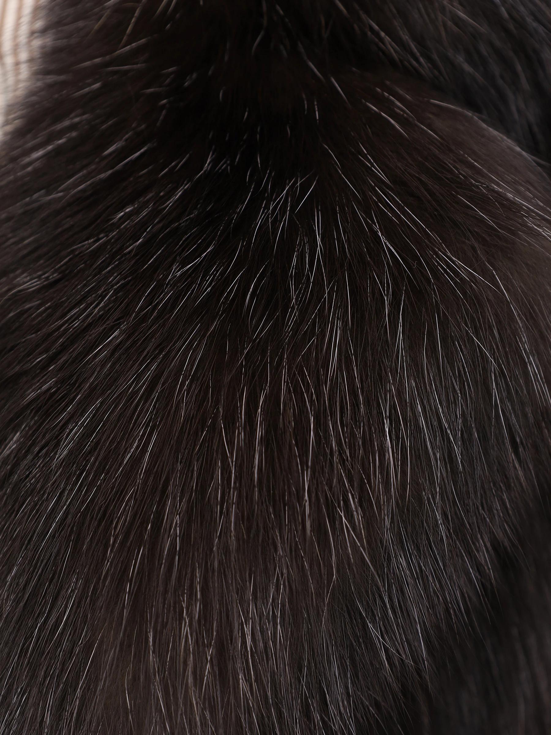 Шуба соболиная