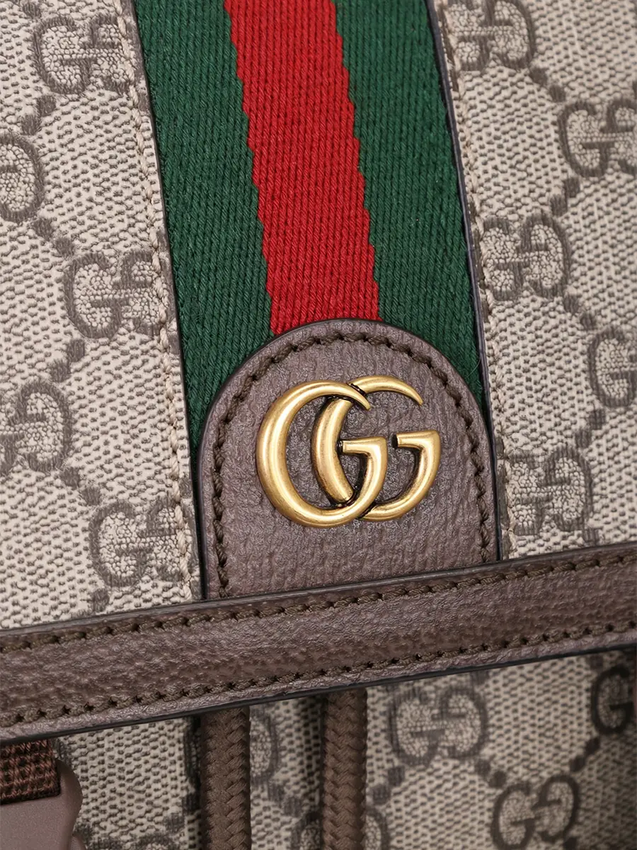 Рюкзак Ophidia