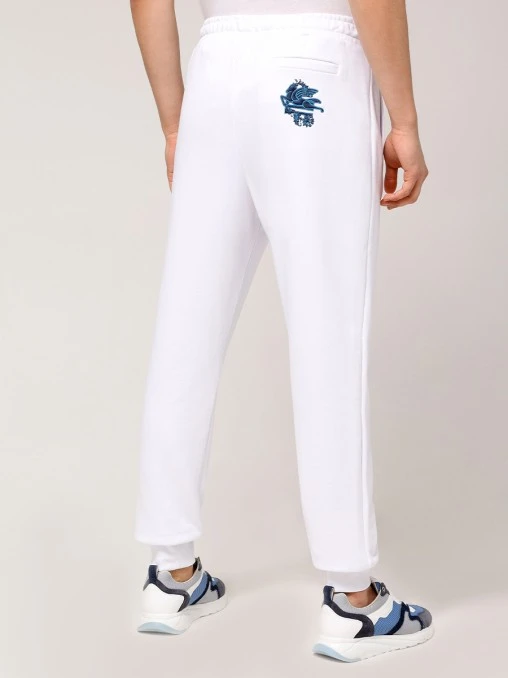 Брюки хлопковые ETRO