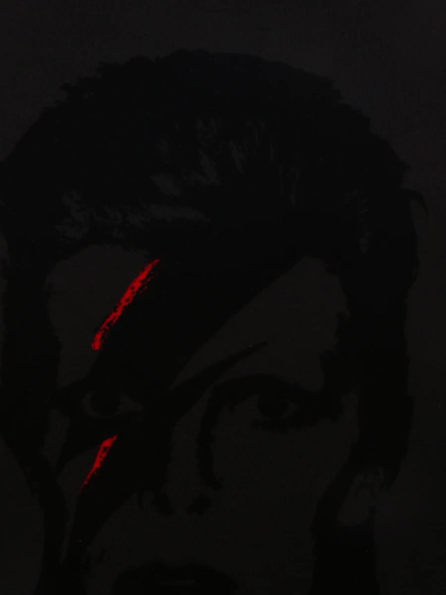 Толстовка хлопковая с принтом