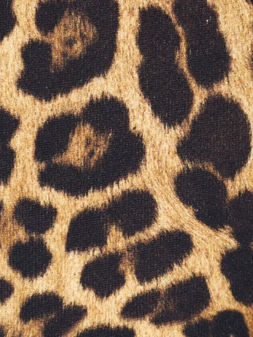 Толстовка хлопковая ROBERTO CAVALLI