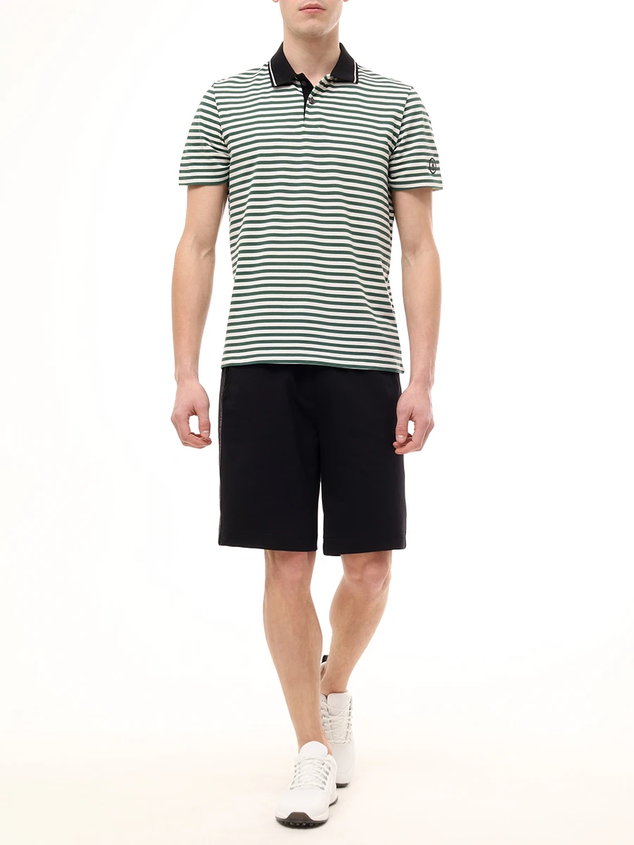 Поло Regular Fit хлопковое Andy