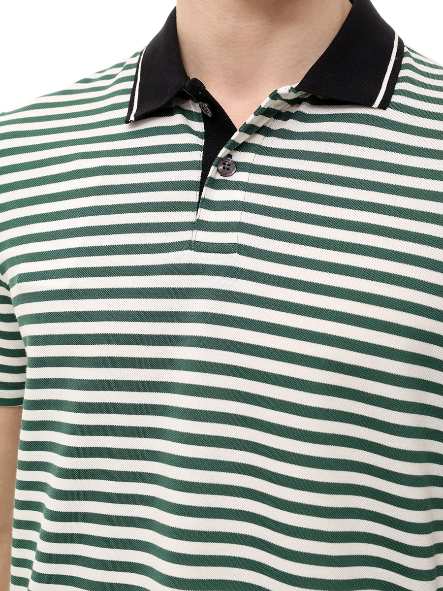 Поло Regular Fit хлопковое Andy