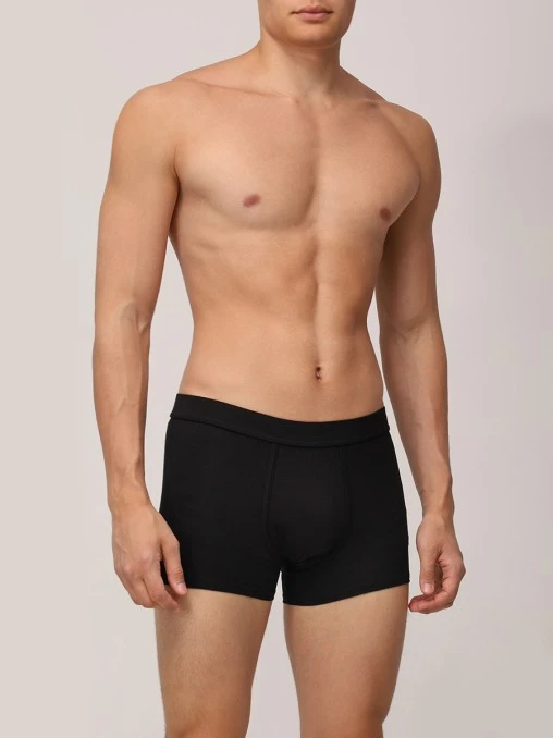 Боксеры хлопковые KITON