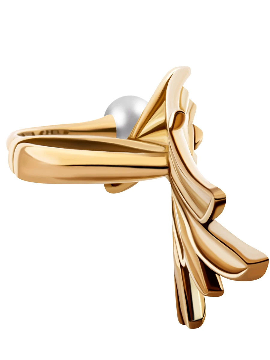 Кольцо крыло