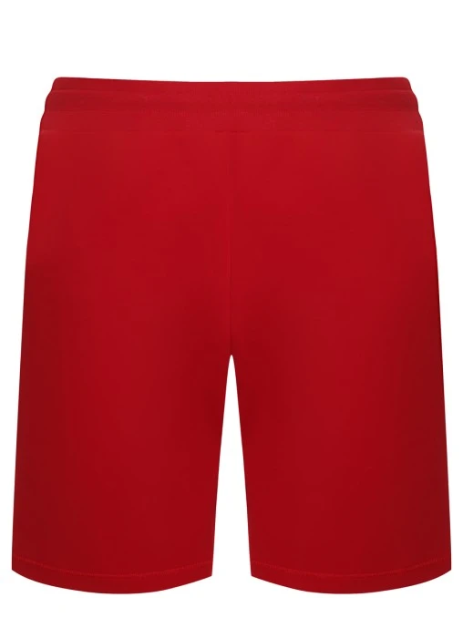 Шорты хлопковые EA7