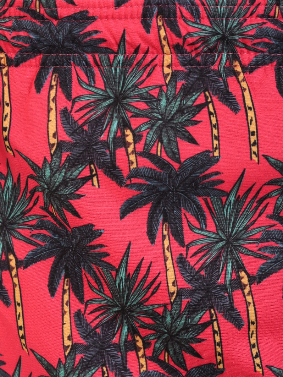 Шорты плавательные Santa Barbara