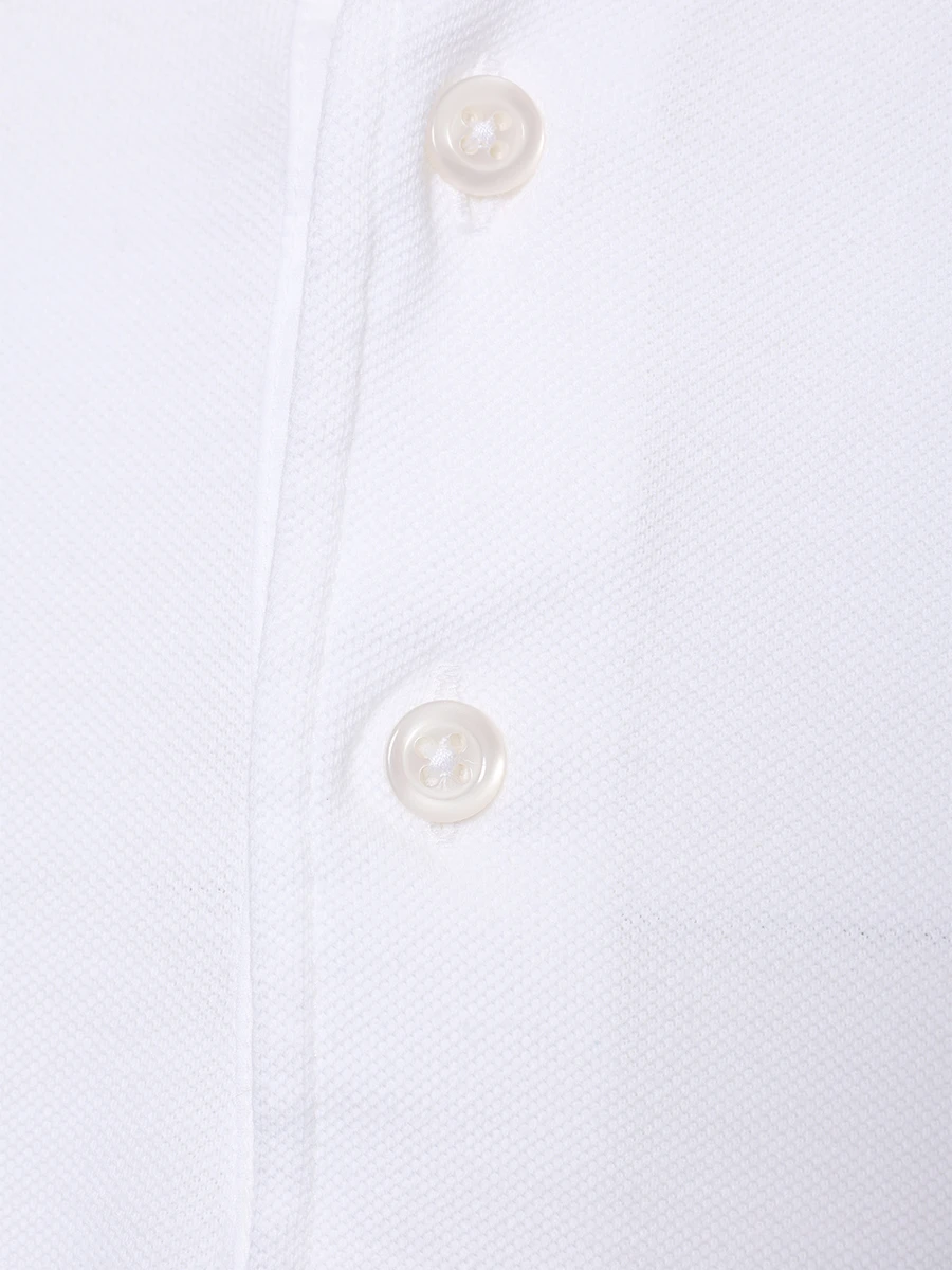 Поло хлопковое