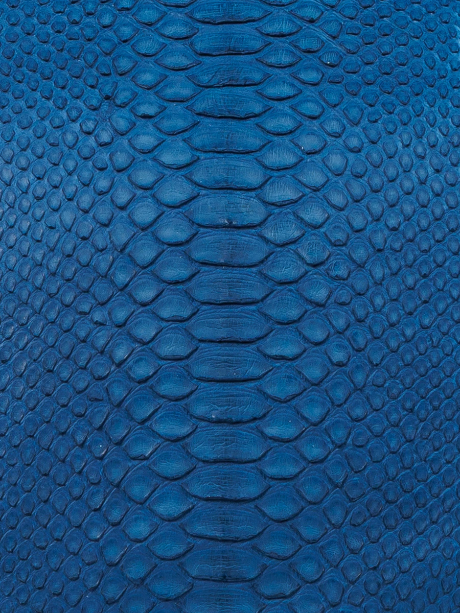 Сумка из кожи питона