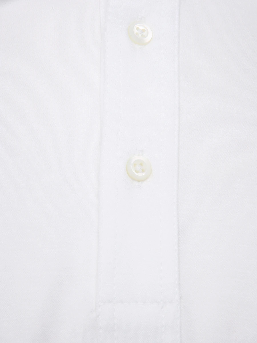 Поло хлопковое