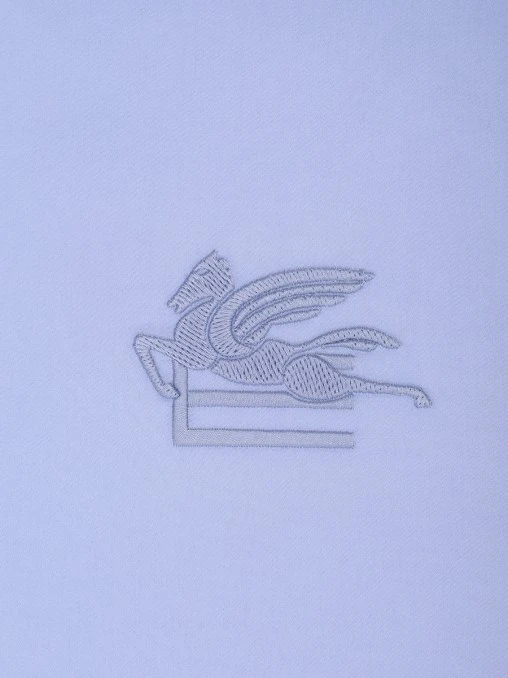 Подушка с узором ETRO