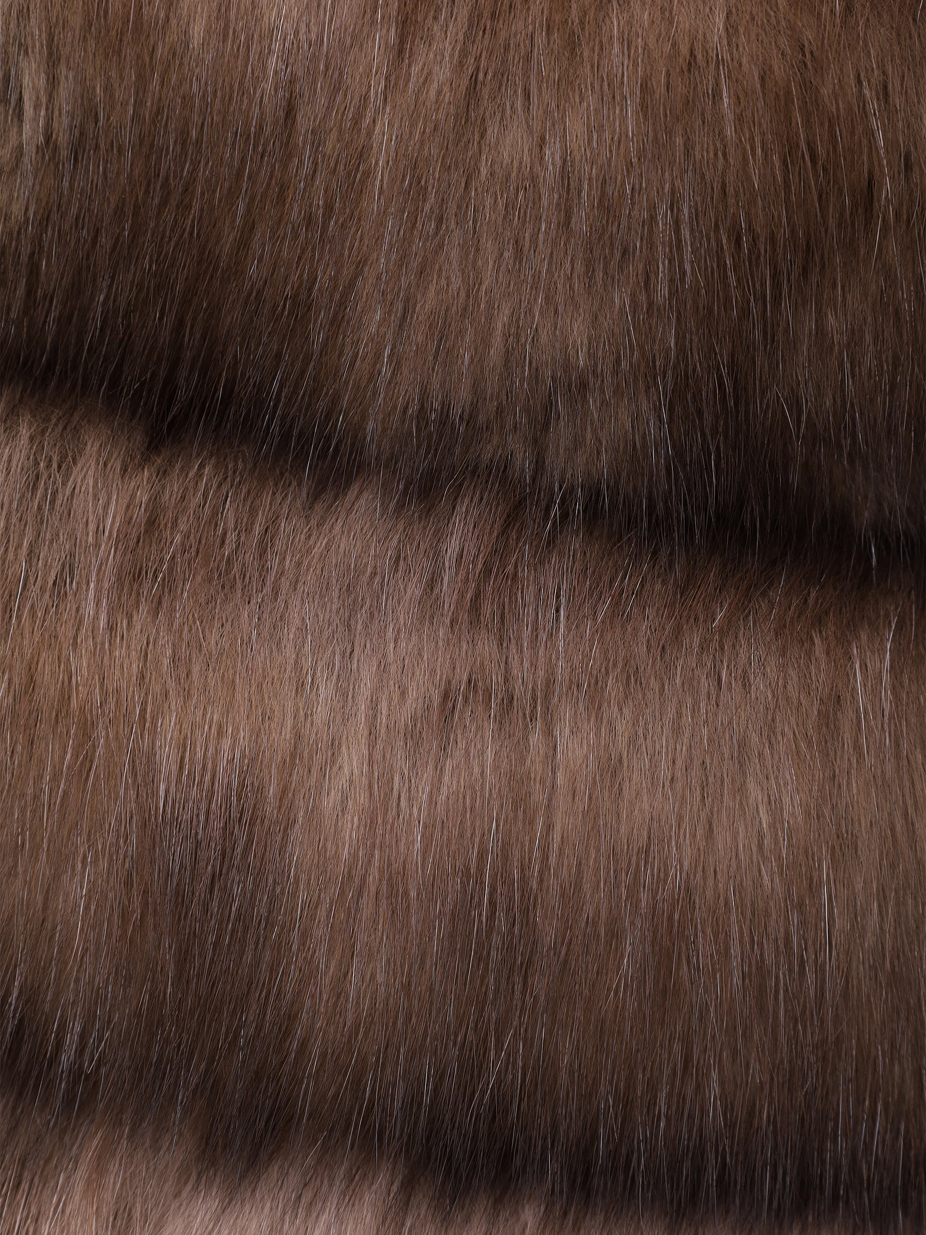 Шуба соболиная