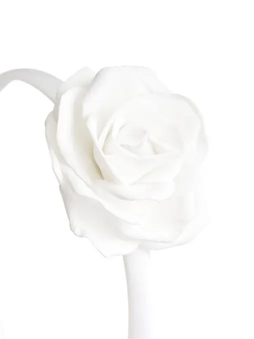 Ободок с декором LITTLE TOMATO