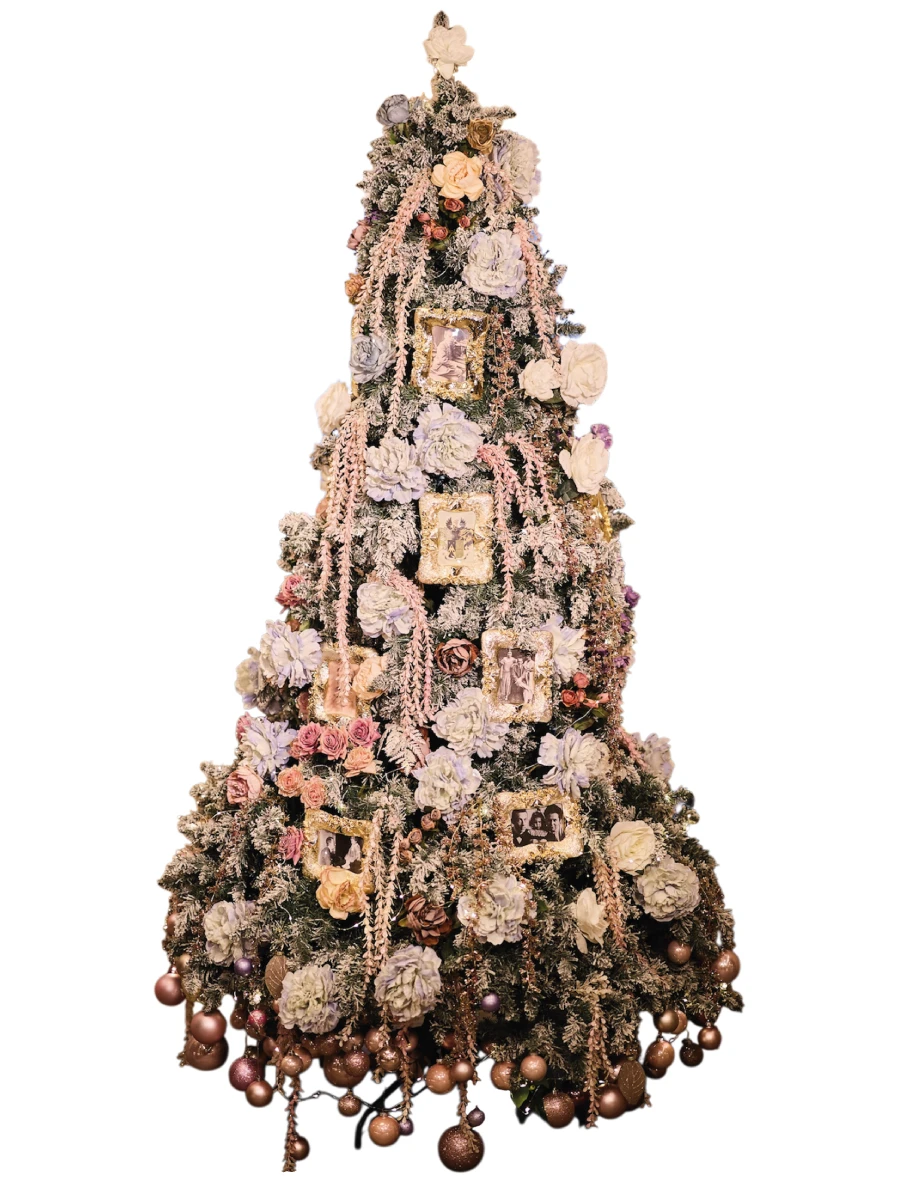 Елка …в саду у меня