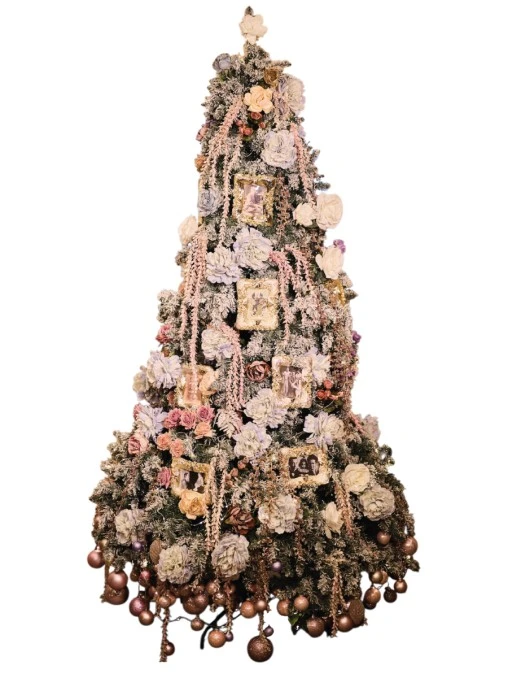 Елка …в саду у меня ЕЛКИ РОССИИ