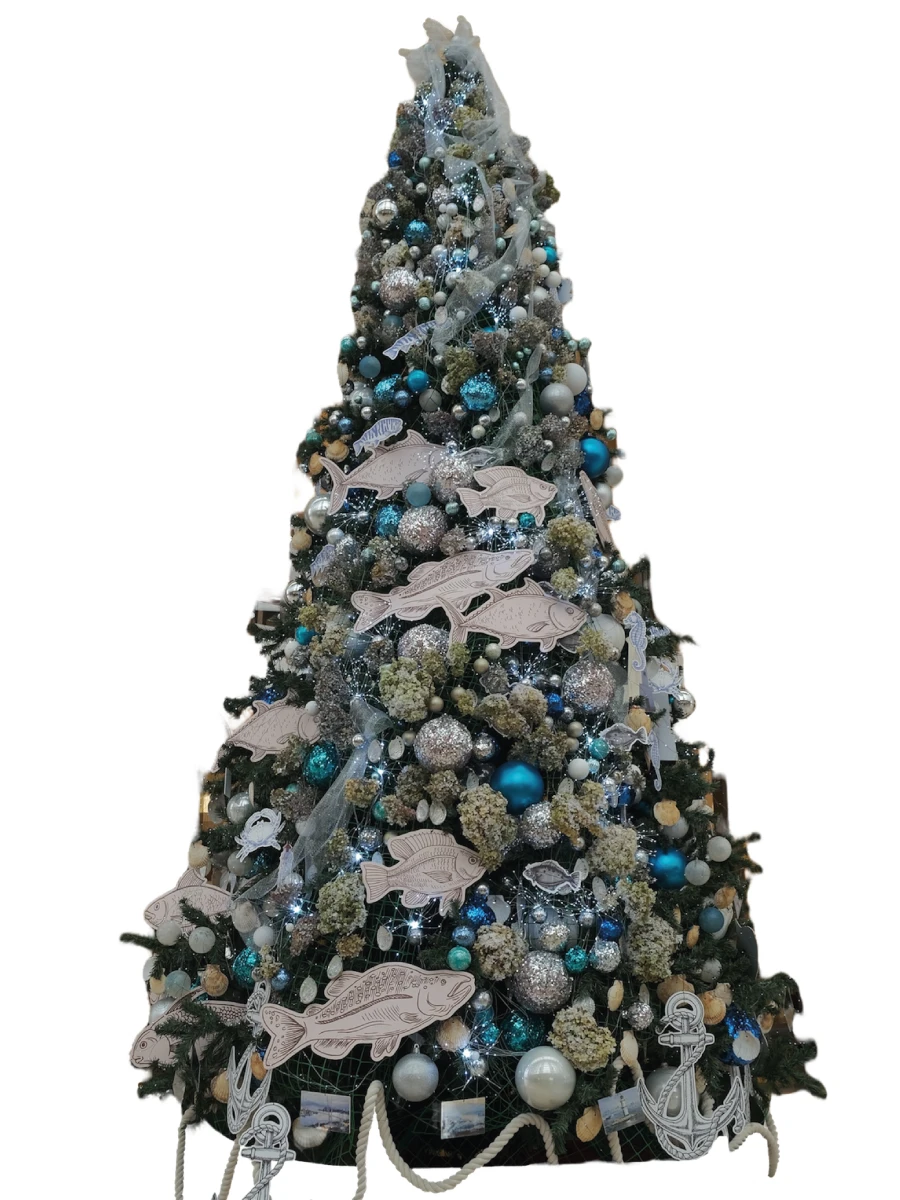 Елка Богатство Приморского Края