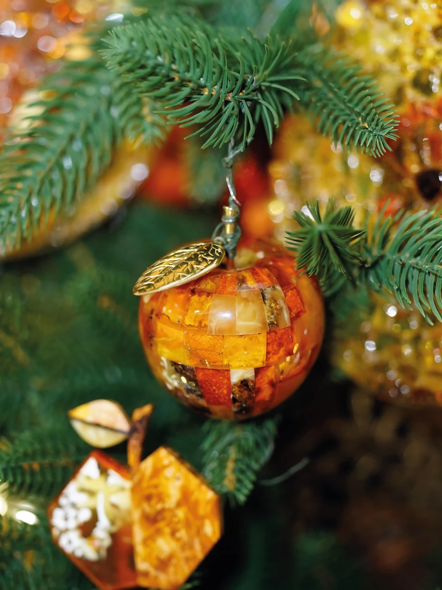 Ель янтарного края