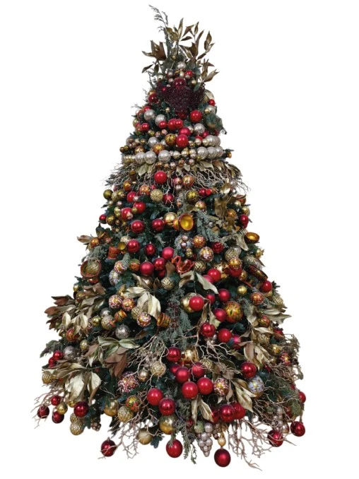 Елка Саламбо ЕЛКИ РОССИИ