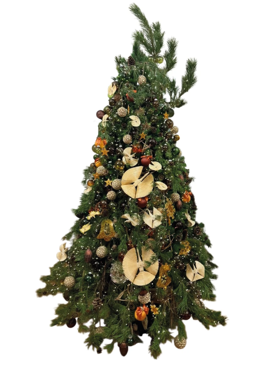 Елка Куршская коса