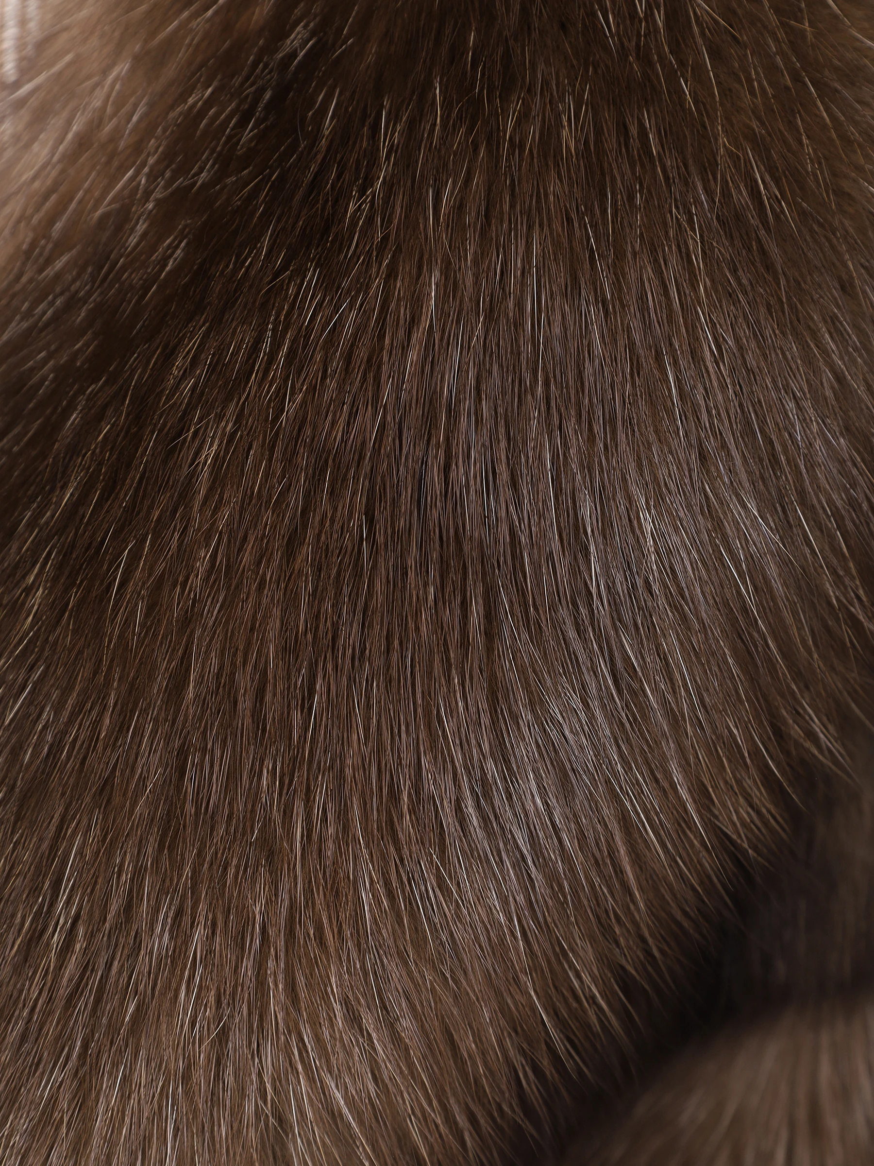 Шуба соболиная