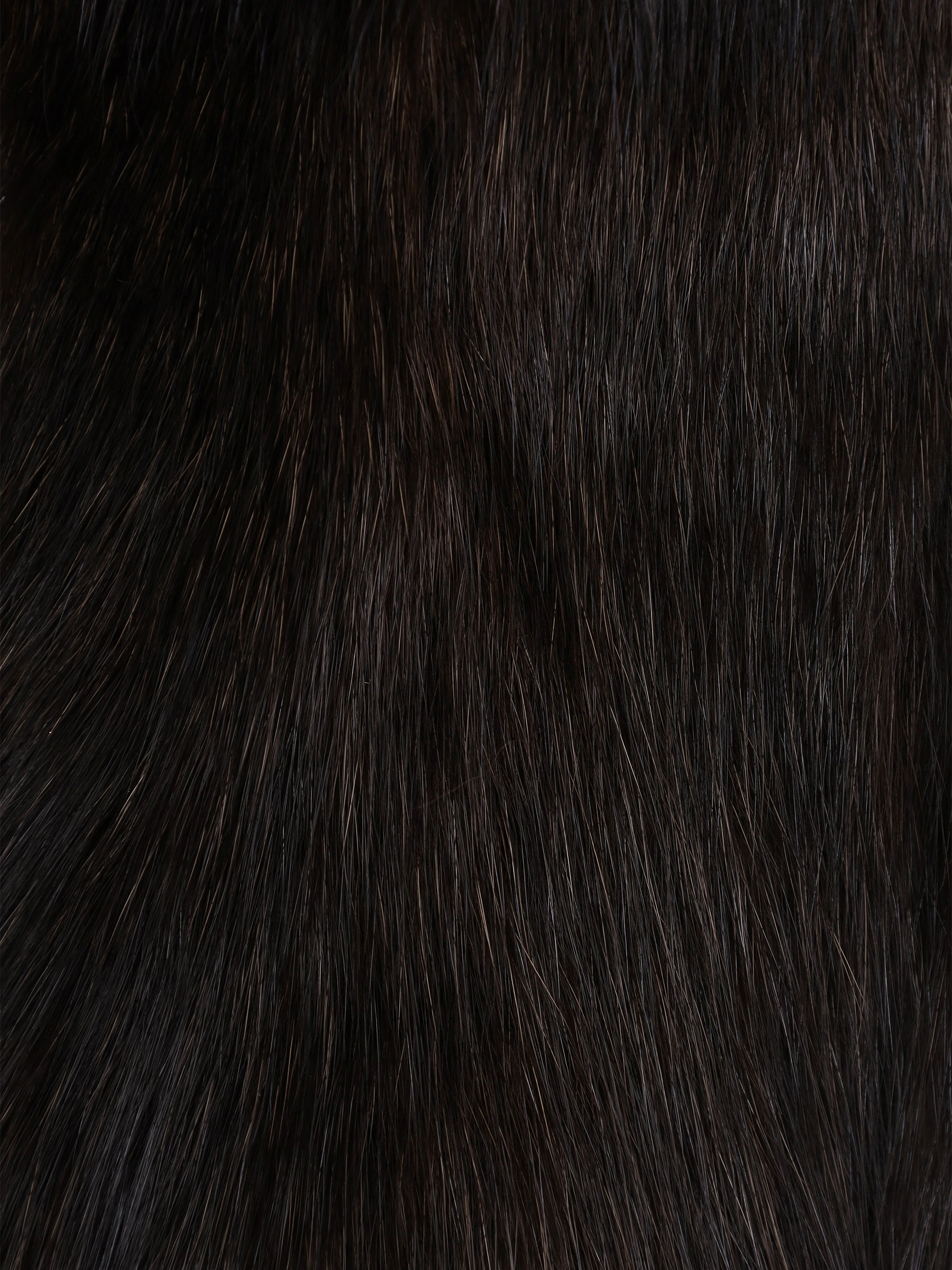 Шуба соболиная