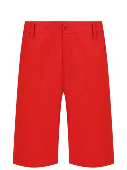 Шорты хлопковые PAUL & SHARK