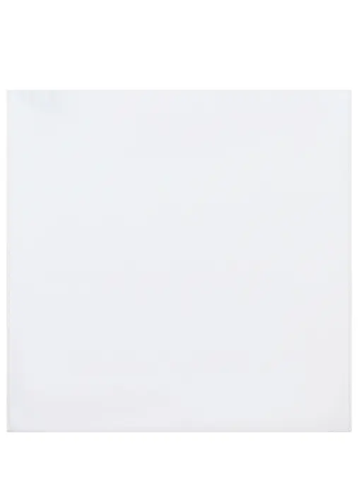 Платок хлопковый BOSS