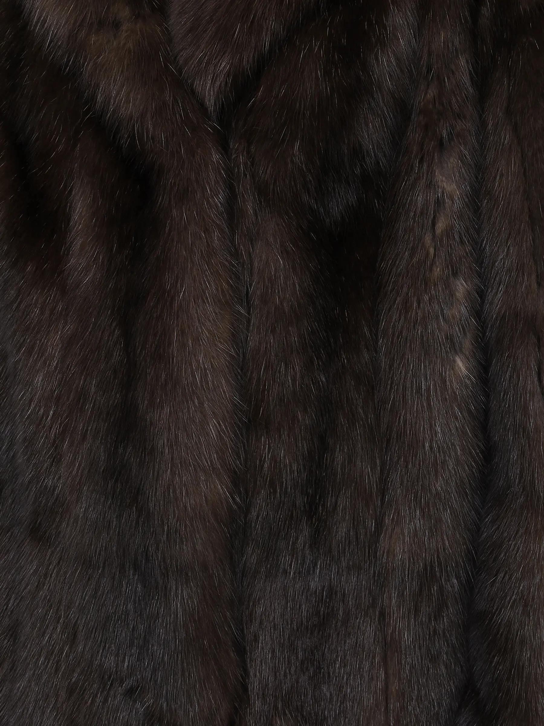 Шуба соболиная