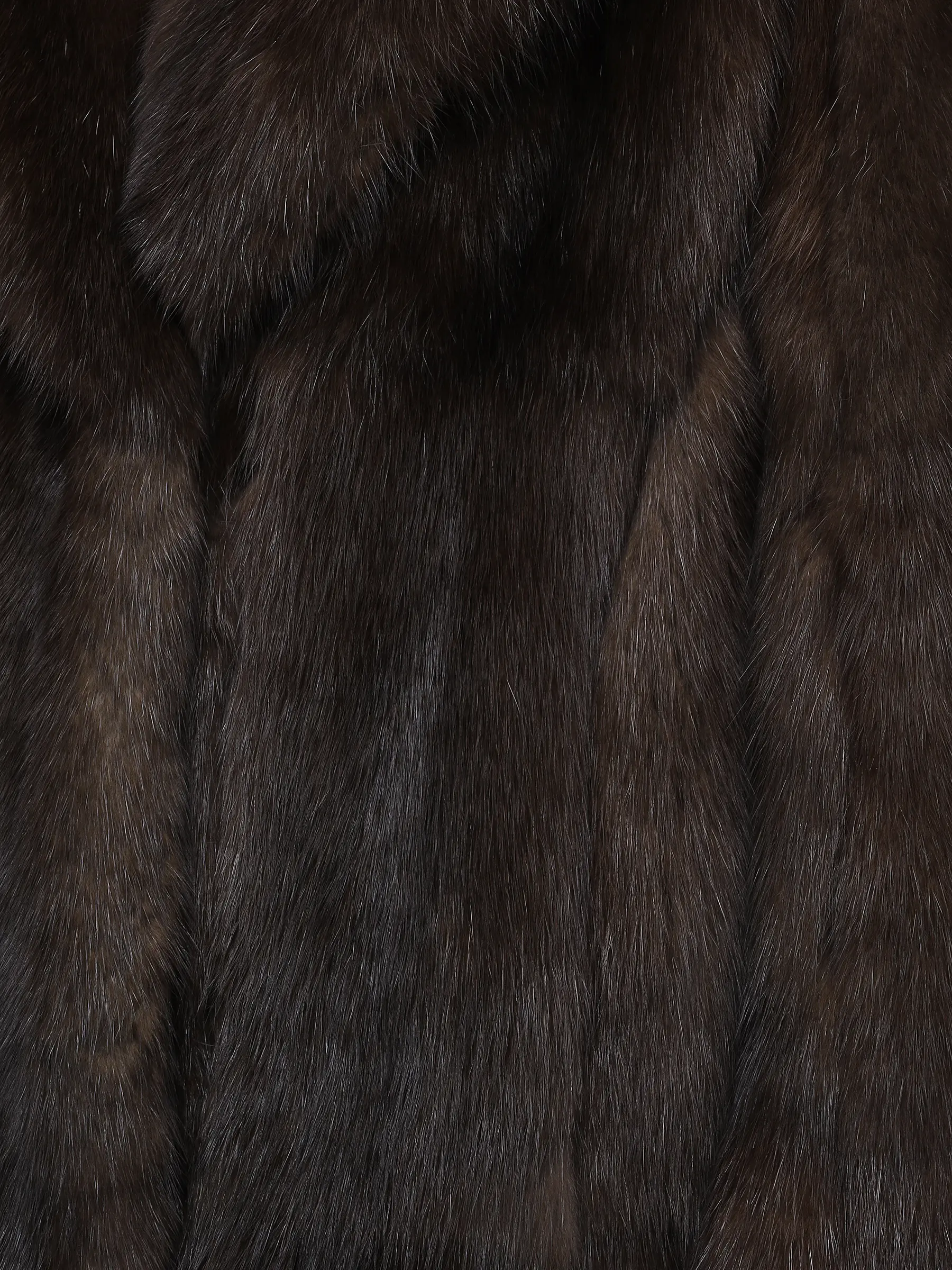 Шуба соболиная