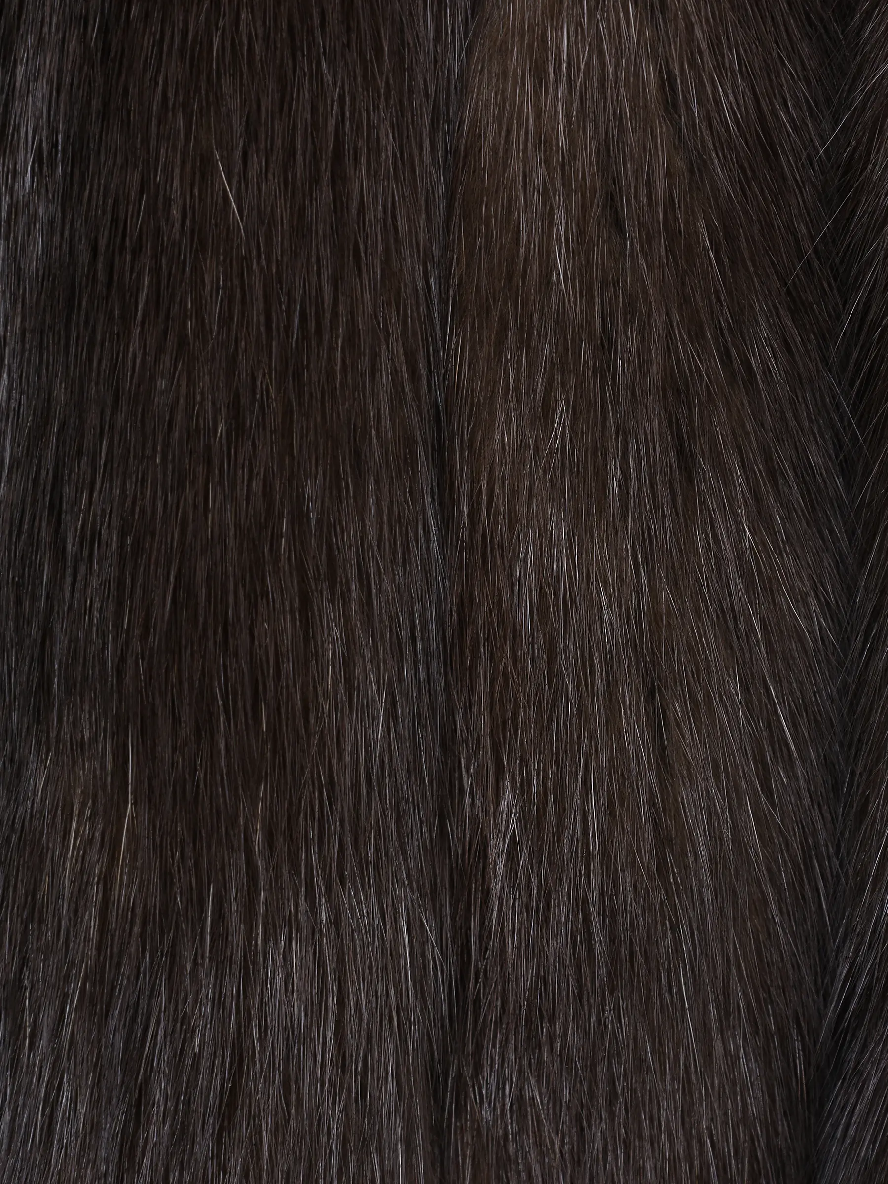 Шуба соболиная