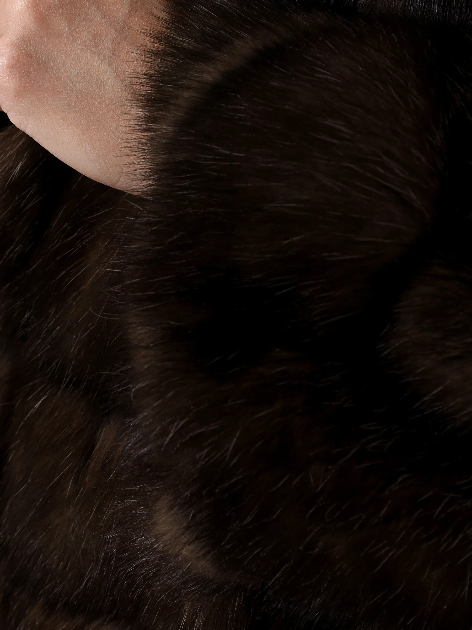 Полушубок соболиный