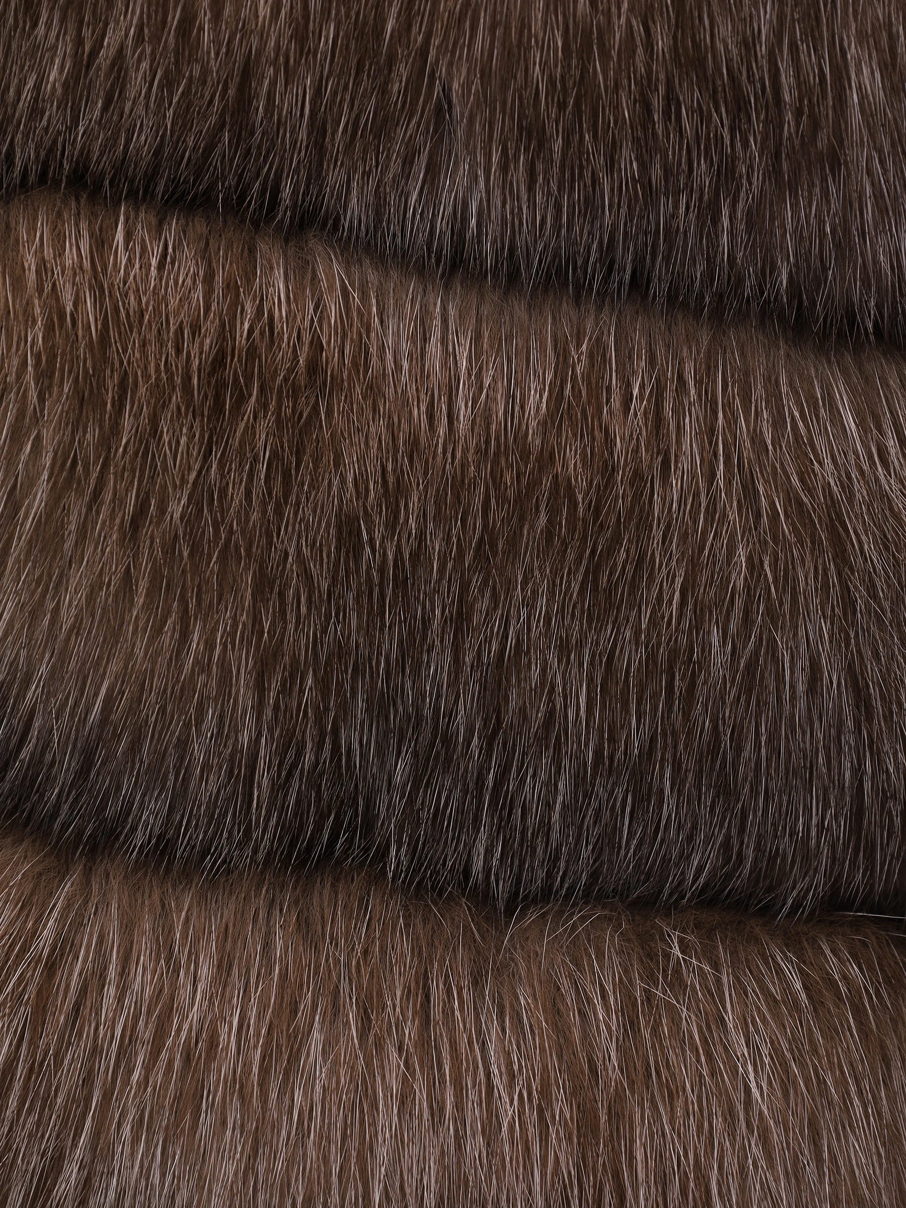 Шуба соболиная