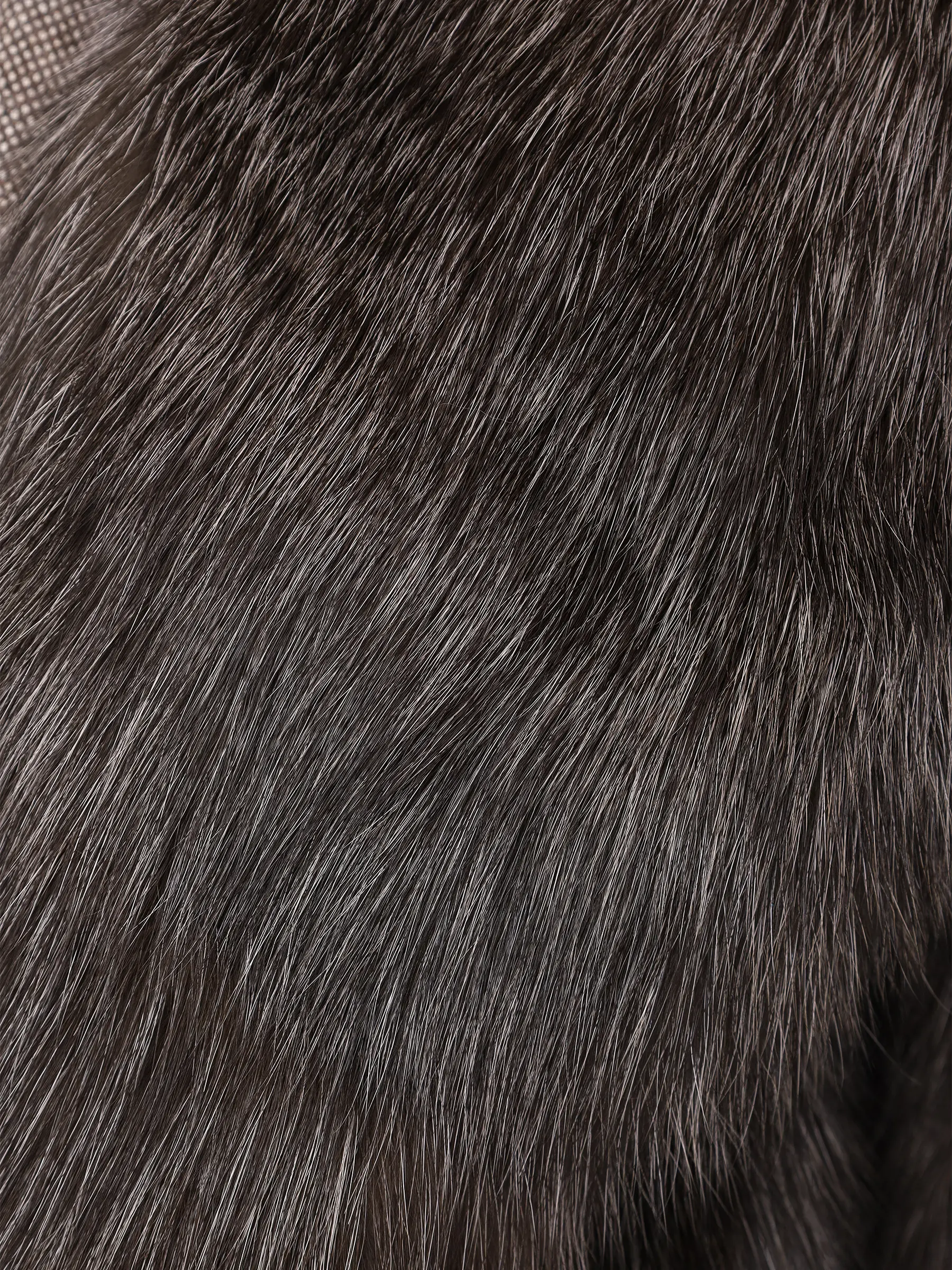 Шуба соболиная