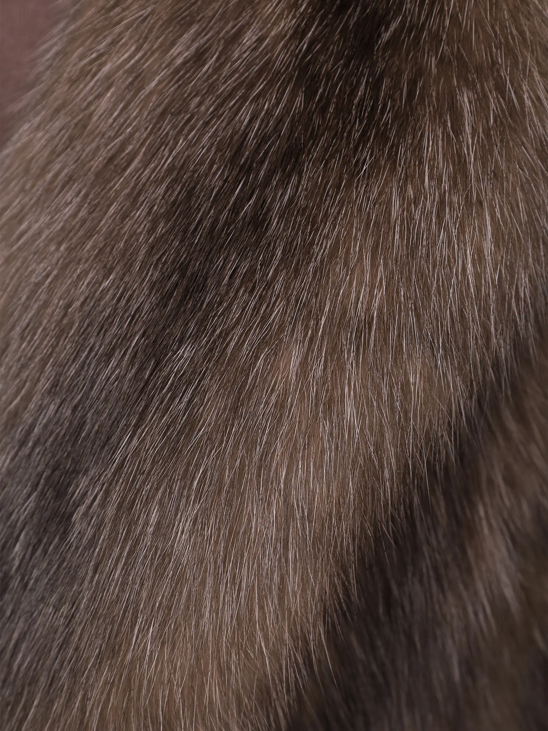 Шуба соболиная