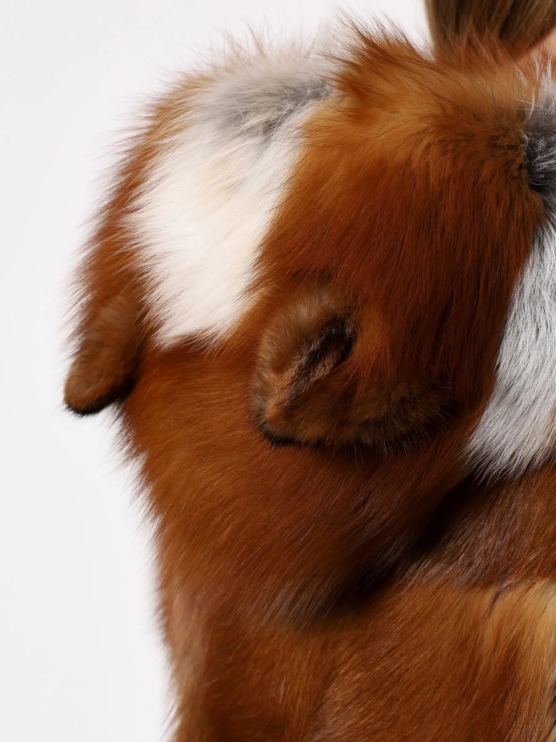 Полушубок из меха лисицы