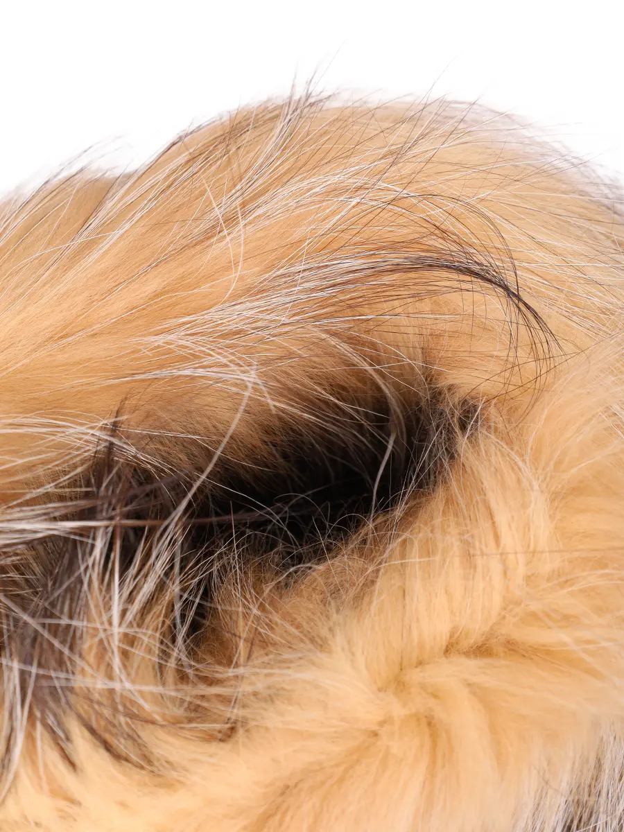 Полусапоги кожаные с мехом лисы