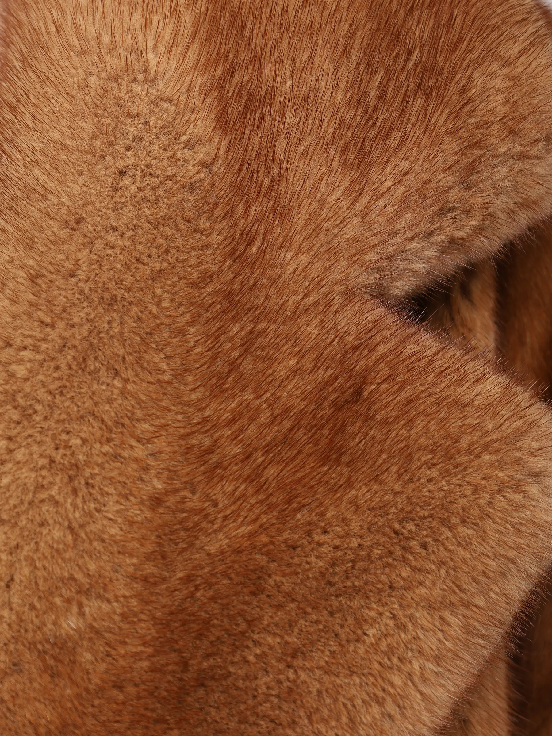 Шуба соболиная