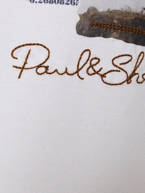 Футболка хлопковая PAUL & SHARK