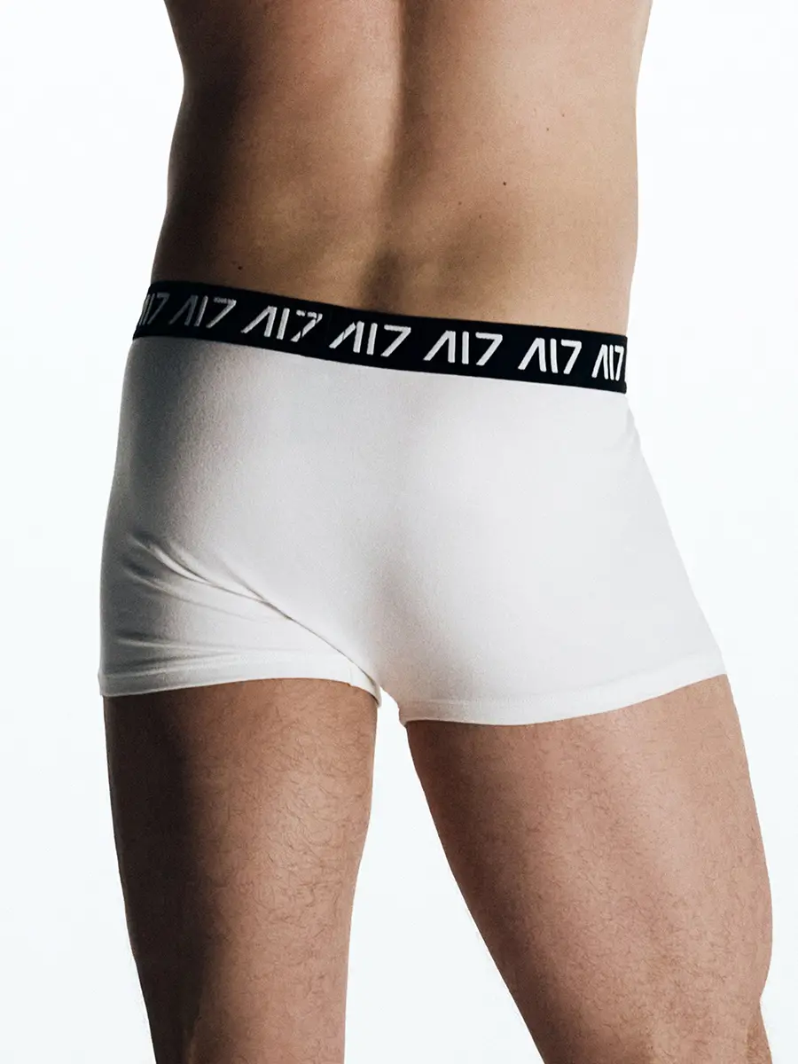 Набор из двух хлопковых трусов-боксеров